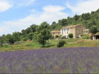 Domaine De Bertrandy 