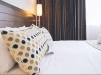 Hotel Mercure Angers Lac De Maine 