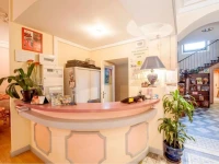 Hotel Michallet 