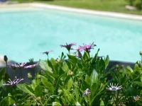 Villa Saint-AndrГ© 