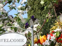 Aggarthi Bed and Breakfast 