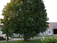 Chambres dHГґtes de lEpine 