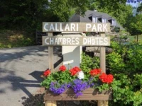 Callari Park 