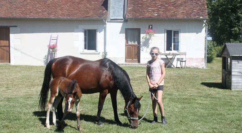 le cottage des chevaux 