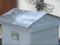 Le Papillon at le paradis 