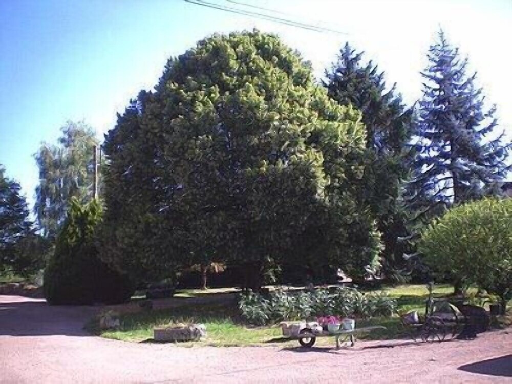 Manoir Henri IV 