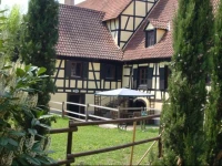Domaine du Moulin im Elsass 