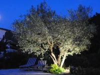 La Serenade 