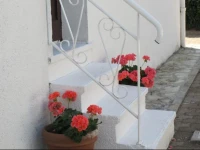 Les Roses de Rita 