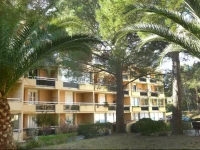 Cote Dazur III Bormes Les Mimosas 