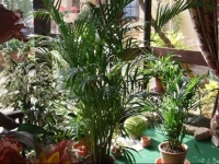 Chambres dhГґtes au Pays des Etangs 
