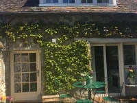 Alices Cottage 