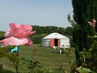 Yourte de Chantilly 