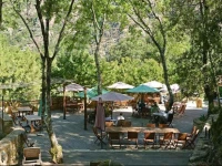 Auberge De La Foret Bonifatu 