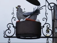 la cocotte gourmande 