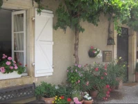 La Petite Vigne 
