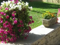 Clos Marjolie 