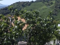 Ogliastrella 
