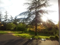 Domaine du Bocage 