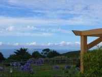 Au Jardin de la Nymphe Bleue 