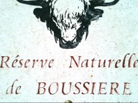 RГ©serve Naturelle de BoussiГЁre 