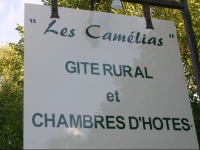 Les CamГ©lias 