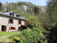 Les 3 Ours 