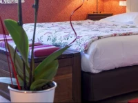 Auberge le centre poitou 