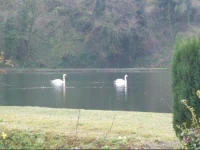 Le Moulin de Dannes 