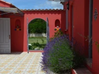 Mas de la Montille 