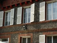 Les Polyanthas 