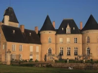 ChГўteau de VaulogГ© 