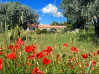 Chambre dHГґtes Villa Catherine 