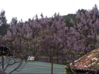 La Madonette 