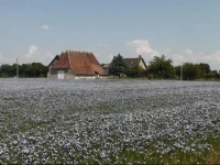 La HuberdiГЁre 