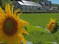 Lavau Vacances Gites 