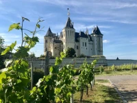 Domaine de Joreau 