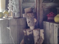 Le Chalet de Sandrine 