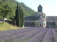Le Mazet Du Domaine 