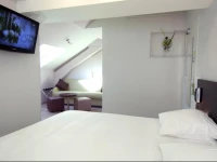 Royal Hotel Grenoble Centre 