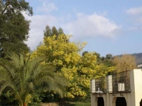 Jardins dAntalya 