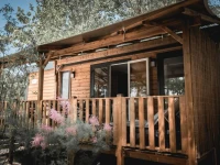 Nova Lodges 