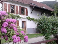 Ferme Terre des Plantes 