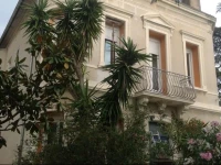 A lombre du cedre 