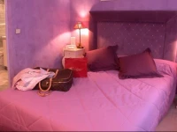 Hotel Le Festival 