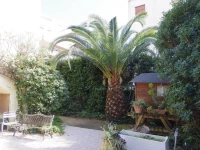La Marjolette 