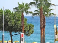 La Rose De Croisette 61 