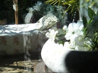 Le Lodge Boca Chica 