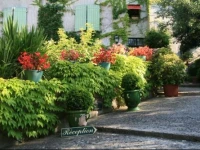 La Maison sur la Colline 