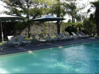Safari Hotel Restaurant Hibiscus 